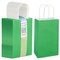 25-Pack Green Gift Bags with Handles - Small Paper Treat Bags for Birthday, Wedding, Retail (5.3x3.2x9 In)